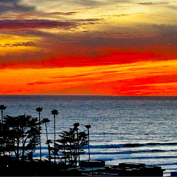 Meet your Posher, Jessi - Picture 1 of 1